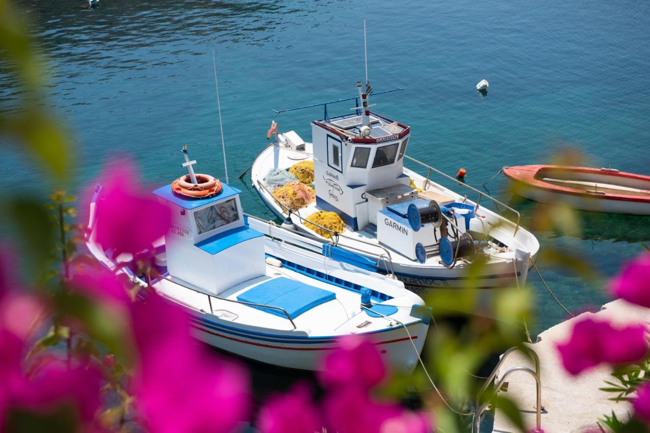 Psarona Hospitality Guest House Cherronisos  Екстериор снимка